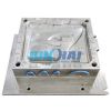 door panel mould 