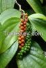 Ceylon Black Pepper