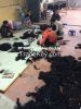 Factory Price 100% Natural Virgin Human Hair/Bulk Hair