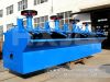 flotation process mini...