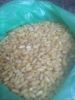 Wheat (Processed) for ...
