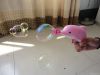 little dolphin bubble gun