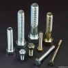 MS hex bolt fastener