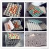 Egg Tray Machine