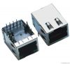 1x1 Gigabit RJ45 Connector with Transformer