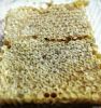 Honeycombs