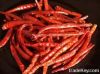 Dried Red Chilli