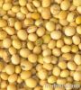 Soybeans