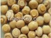 Canned Mushroom (champ...