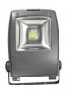 Flood Light 10W-100W C...