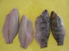 frozen black tilapia fillet(oreochromis niloticus)