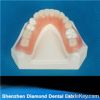 2013 Dental valpast pa...
