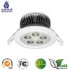 Led Ceiling Light