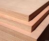 RED HARDWOOD PINE PLYWOOD