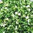 Freeze dried chive
