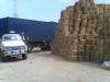 wheat straw bales