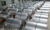 Galvanized Steel Coils