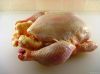 Export Whole Chicken M...