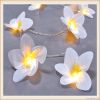 Led string flower ligh...