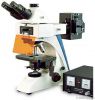 fluorescence microscope