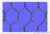 heangonal  wire mesh