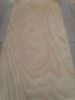 Rotary Cut Okoume Veneer