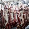 Halal Beef Carcass