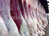 Halal Beef Carcass