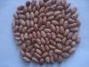 high quality peanut ke...