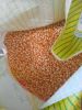 POP CORN - MAIZ PISING...