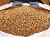 Wood Pellets