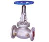 Globe Valve