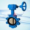 Lug type butterfly valve