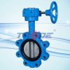 Lug type butterfly valve