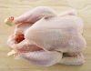 Whole chicken