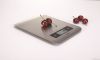 Camry Digital Kitchen Weight Scale with Stainless Steel Platform