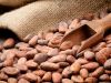 Cocoa Beans