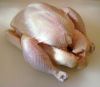 Chicken - Halal Frozen...