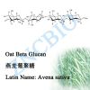 Oat Beta Glucan