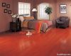 solid Balsamo wood floors