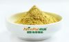 Natural Instant Mango Juice Powder/ Mango Powder juice drink