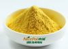 100% Natural Instant PumpkinPowder/ Pumpki Juice Powder/ Pumpkin Fruit