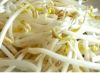 bean sprouts