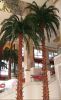 Artificial palm tree/A...