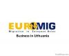 Business immigration to Europe, Residence permit in Lithuania, visa