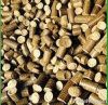 Biomass Briquettes