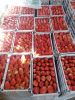 Fresh Strawberries (wi...
