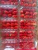 Fresh Strawberries (wi...