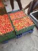 Fresh Strawberries (wi...