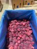 Egyptian Frozen Strawberries (IQF)